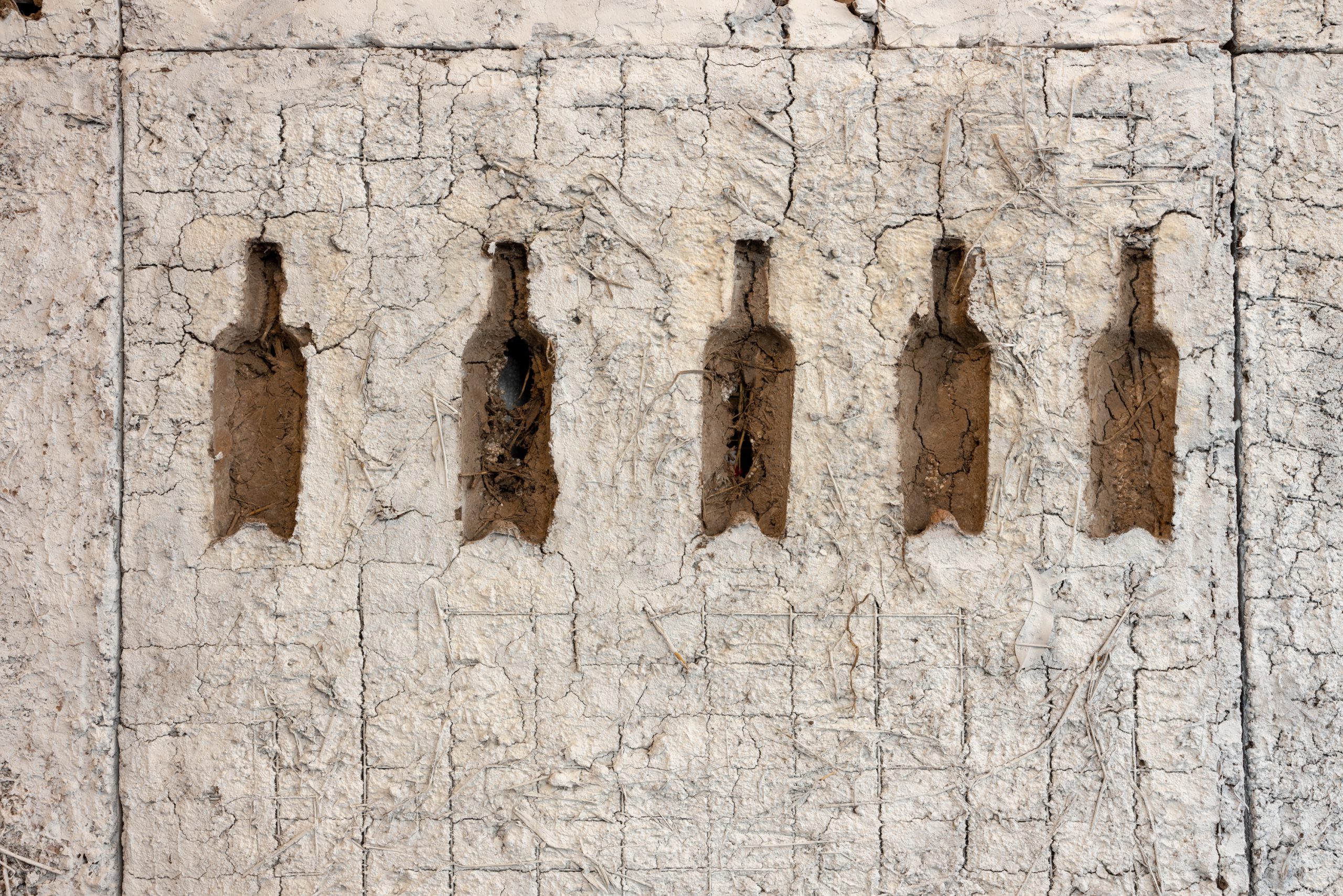 botellas instalación artistica Montevideo